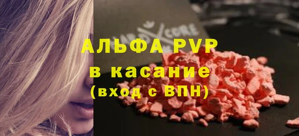 стафф Арсеньев