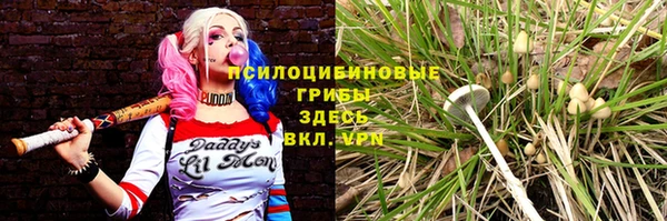 стафф Арсеньев