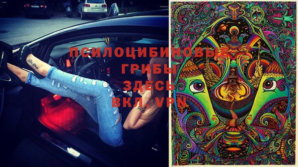 стафф Арсеньев