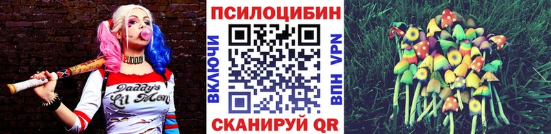 Купить  Анжеро-Судженск  Псилоцибиновые грибы Cubensis 